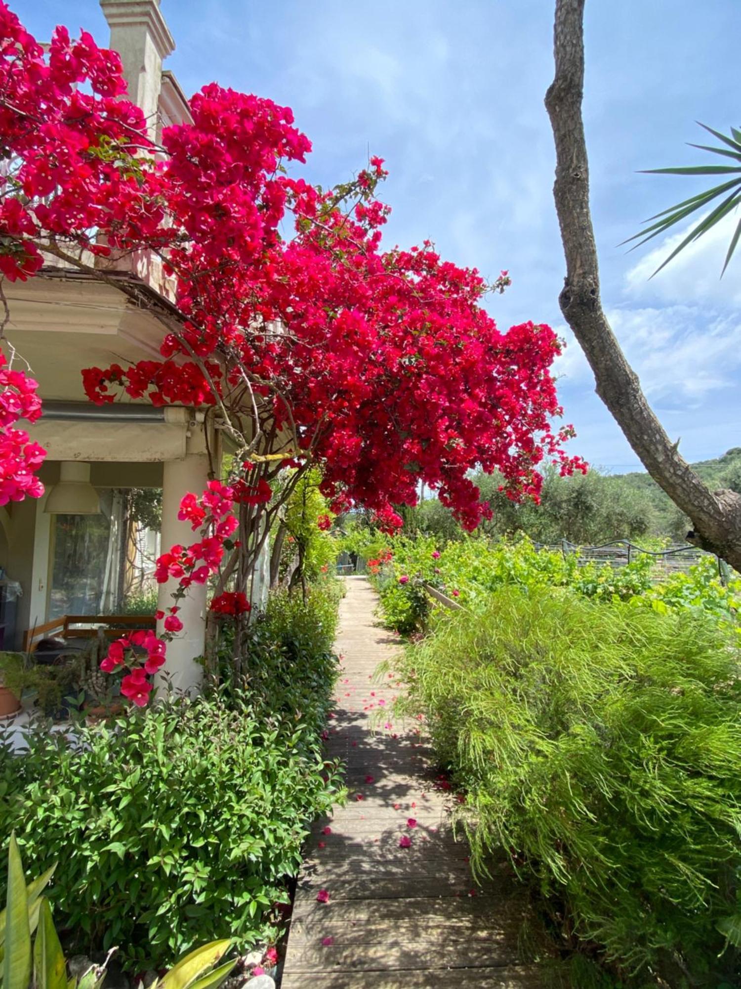 Kali Zoi -B&B Zakynthos Амуди Экстерьер фото